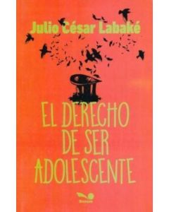 DERECHO DE SER ADOLESCENTE, EL