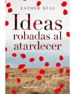 IDEAS ROBADAS AL ATARDECER